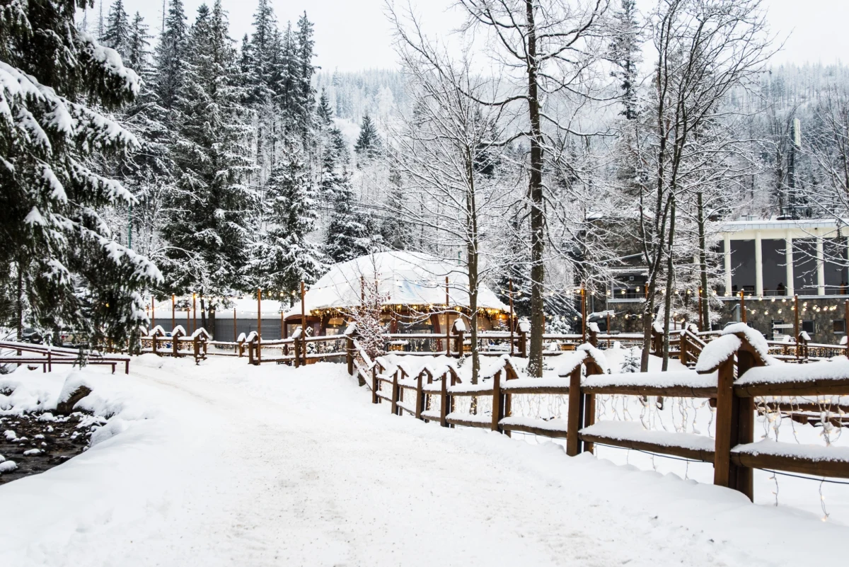 W wigilię Tatry i Zakopane przywitały mieszkańców oraz turystów prawdziwie zimową aurą. W nocy spadł śnieg, który przykrył zarówno miasto, jak i górskie szczyty. Tatrzański Park Narodowy ostrzega jednak, że warunki do uprawiania turystyki są bardzo trudne, a nieprzygotowani turyści mogą narazić się na poważne niebezpieczeństwo.