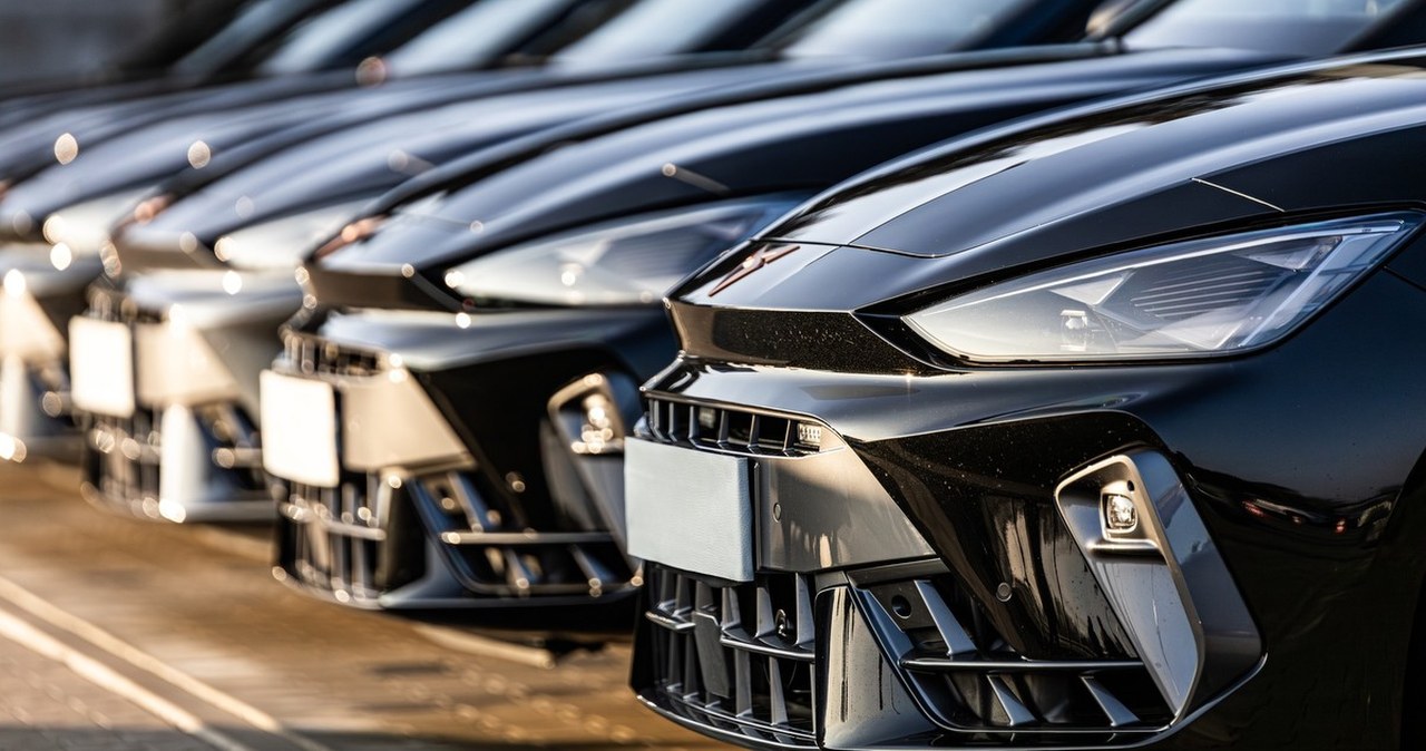 Te auta wyglądają jak zwykłe samochody. A to policyjne patrole