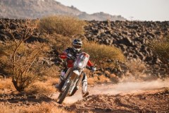Rajdy terenowe: Dakar 2026 - 2. etap