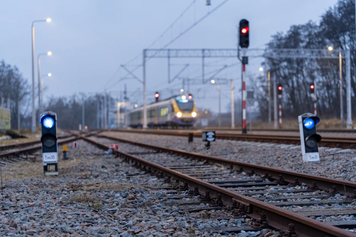 Funkcjonariusze Straży Ochrony Kolei stwierdzili brak fragmentu szyny kolejowej na linii kolejowej relacji Sławięcice - Rudziniec na Opolszczyźnie - poinformowała w piątek policja. Eksperci PKP wstępnie orzekli, że uszkodzenie mogło powstać wskutek bardzo niskiej temperatury powietrza.
