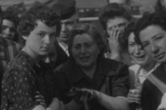 Wszystko, co zobaczyli