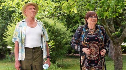 Zdjęcie ilustracyjne Barwy szczęścia odcinek 3289 