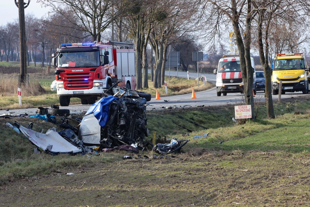 Pięć z sześciu ofiar środowego wypadku pod Brzegiem w Opolskiem to prawdopodobnie obywatele Ukrainy. Informacje w tej sprawie przekazał RMF FM rzecznik Prokuratury Okręgowej w Opolu Stanisław Bar. "Te informacje wymagają weryfikacji, ponieważ nie jest mnożliwa identyfikacja tych osób z uwagi na spalenie samochodu" – dodał.