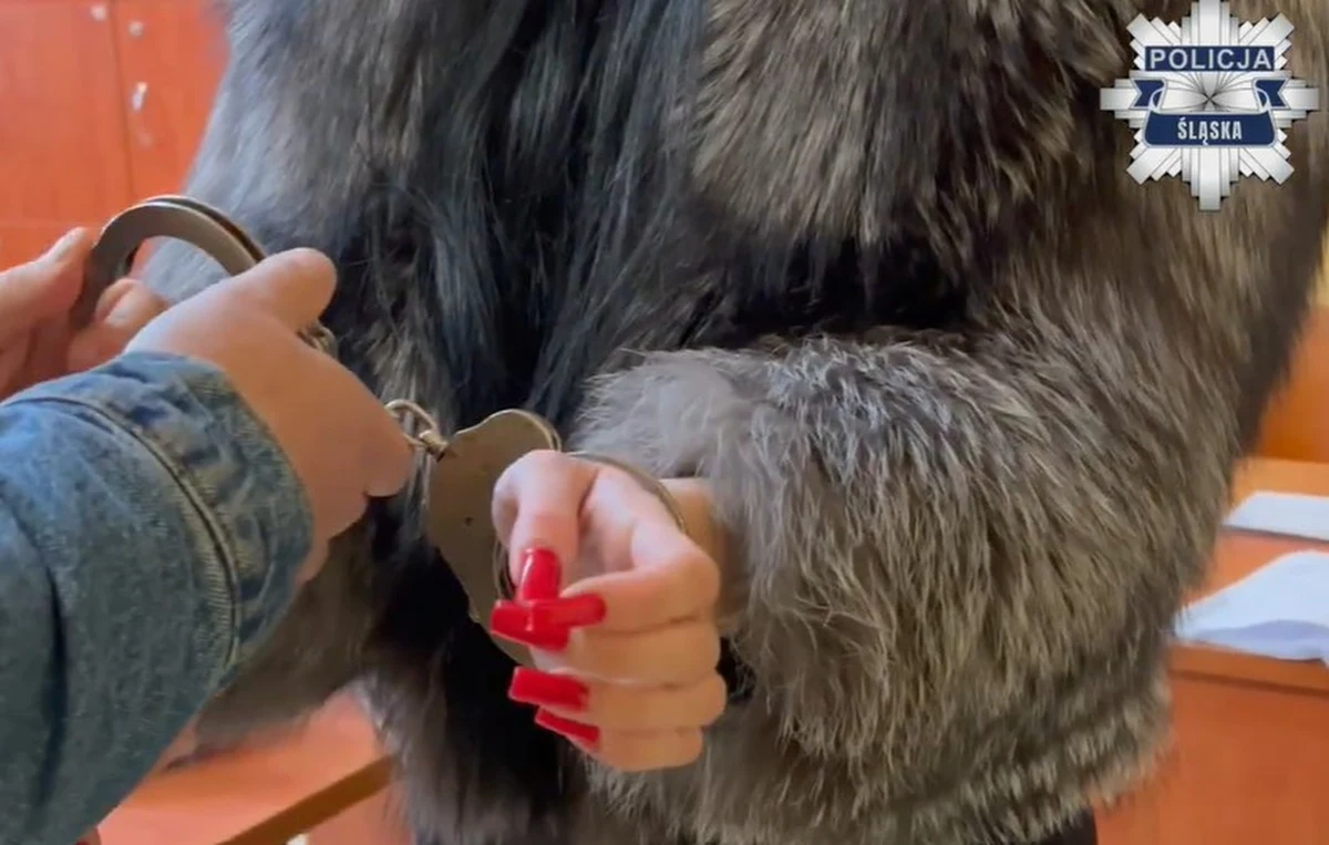 Policjanci z Katowic, Tychów oraz śląscy kontrterroryści przeprowadzili szeroko zakrojoną akcję wymierzoną w zorganizowaną grupę przestępczą. Efektem działań służb było zatrzymanie sześciu osób podejrzanych o czerpanie korzyści z cudzego nierządu, pranie brudnych pieniędzy oraz rozbój.