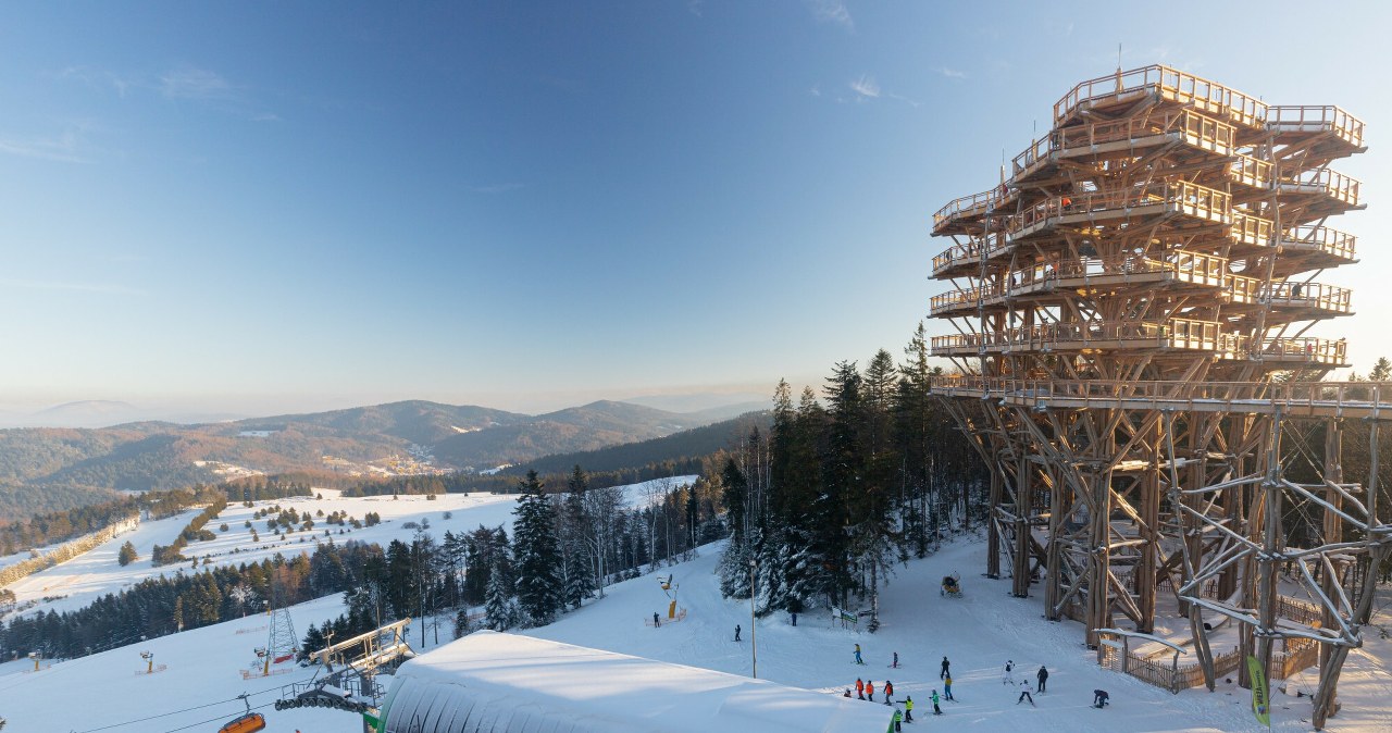 Co oznacza taka naklejka na kasku narciarskim? Nietypowa akcja na stokach