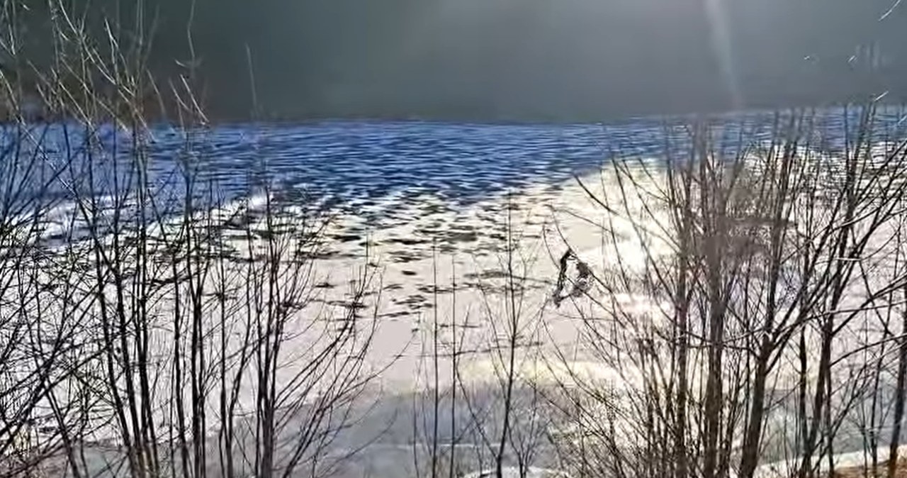 Zignorowała wszystkie zakazy. Czeskie służby pokazały szokujące nagranie