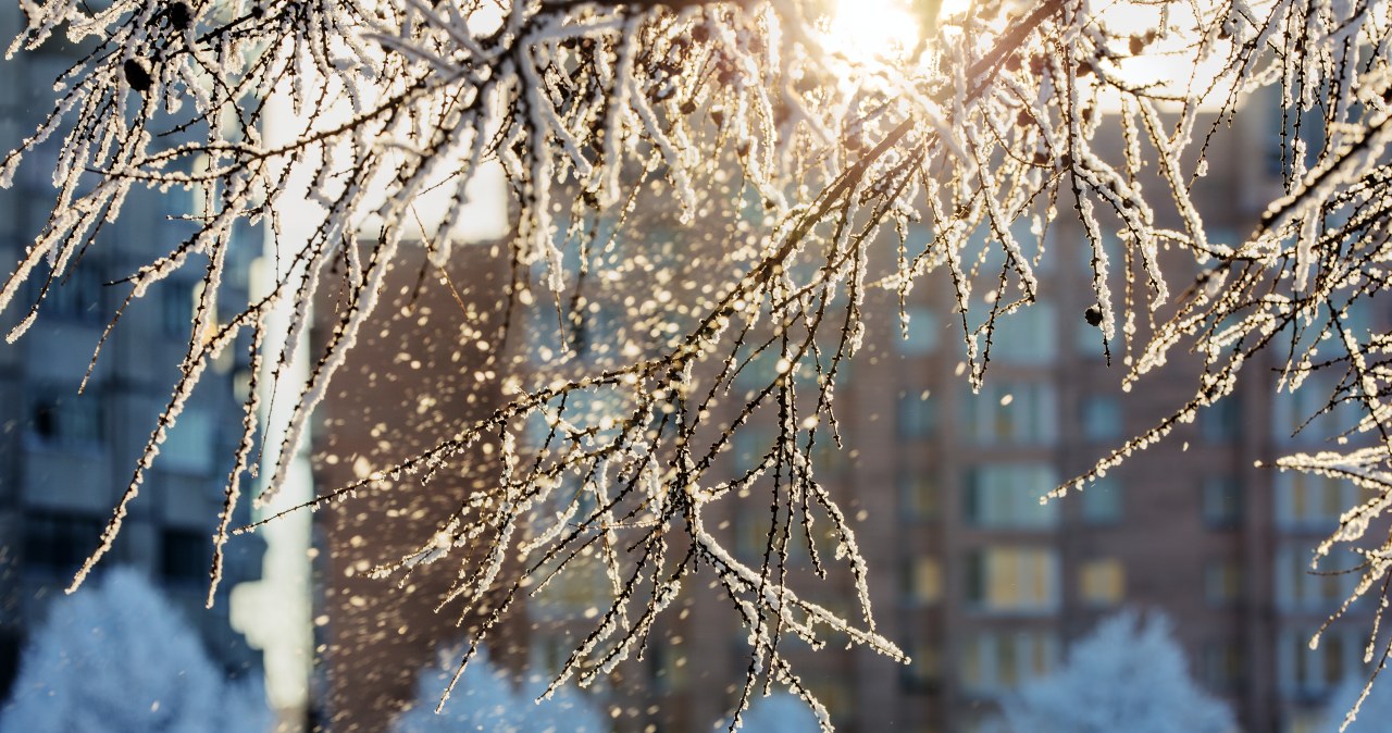 Zamknij szczelnie okna, podkręć kaloryfer. Nad Polskę ciągnie mróz jak przed laty
