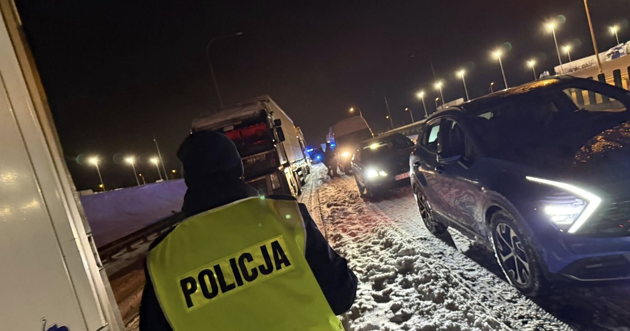 Benzyna, diesel czy elektryk. Który samochód przetrwa najdłużej w zaspie?