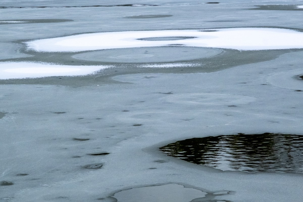 Na stawie załamał się lód. Nowe fakty ws. rodzinnej tragedii pod Poznaniem