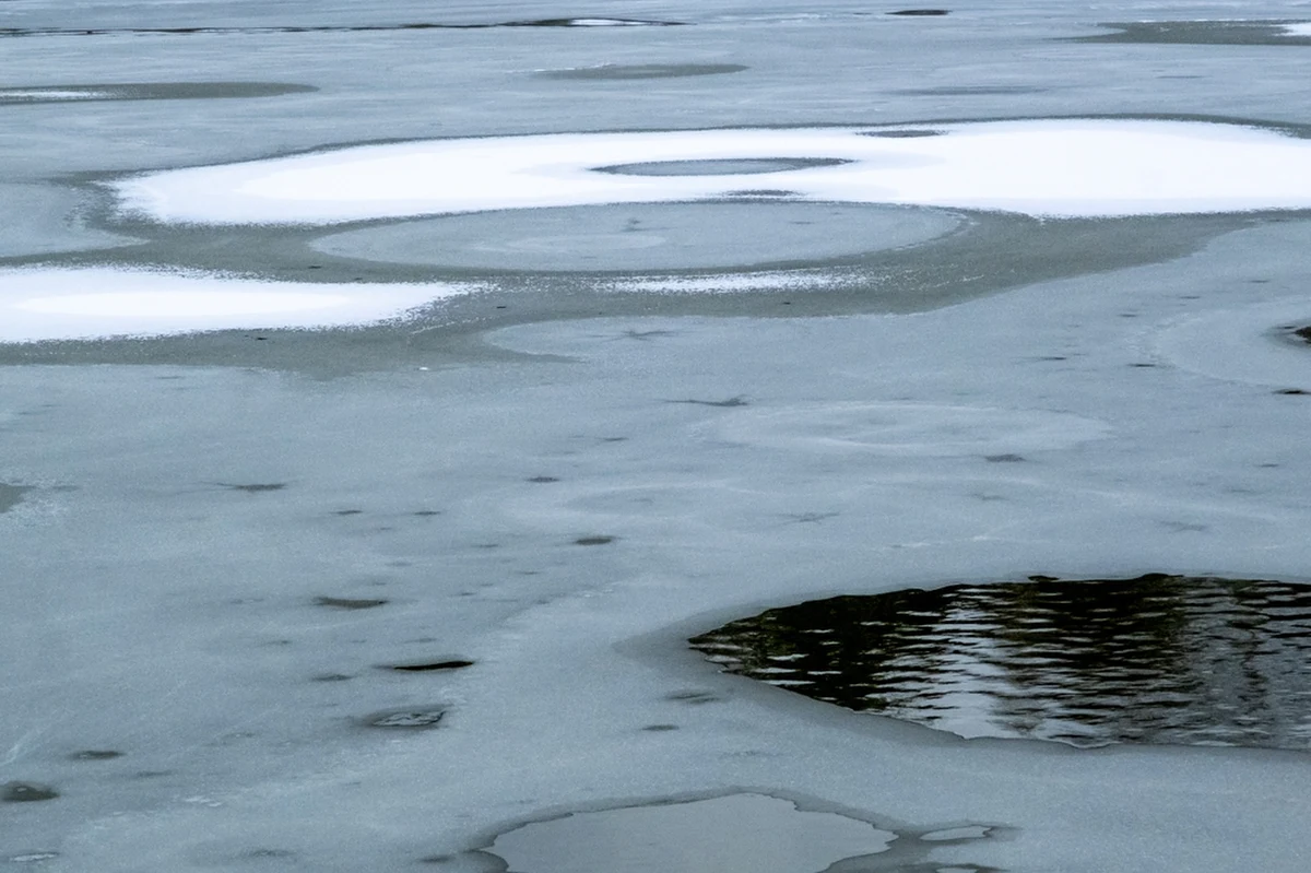 W szpitalu zmarła 49-letnia kobieta, która we wtorek razem z synem wpadła do stawu w miejscowości Radzewo w powiecie poznańskim. Wcześniej policja informowała, że lekarzom nie udało się uratować życia 7-latka. Okoliczności tego wypadku wciąż nie są jasne i będą wyjaśniane przez policję i prokuraturę. 