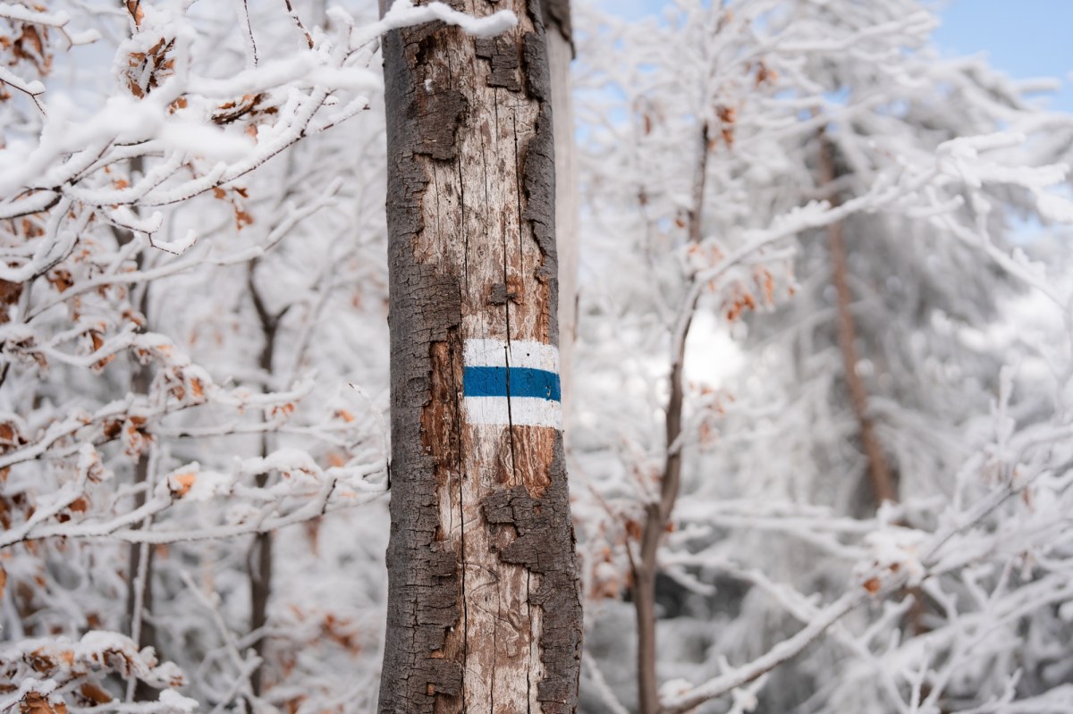 Tragedia w Zwardoniu. Turysta zmarł na szlaku w noc sylwestrową