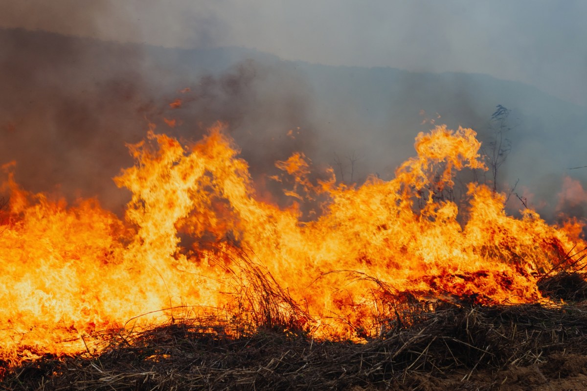 Nawet 30 tys. zł grzywny. Przepisy zostały zaostrzone