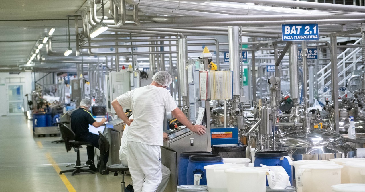 Niemcy szukają do pracy bez doświadczenia. Czy ta pensja może zadowolić?