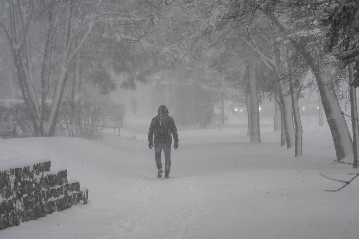 Nadchodzi zimowa zawierucha. choćby 60 cm śniegu