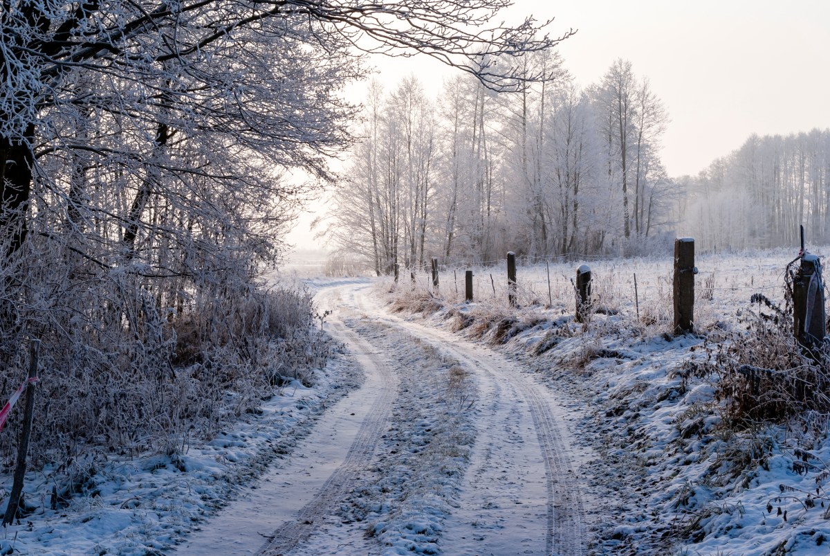 Zamarznięta kobieta na skraju lasu. Zimowy koszmar w Zachodniopomorskiem