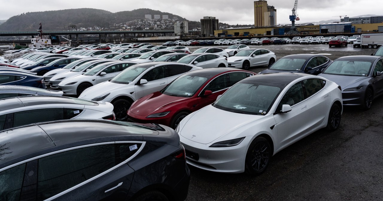 96 proc. nowych aut to u nich elektryki. Metoda kija i marchewki