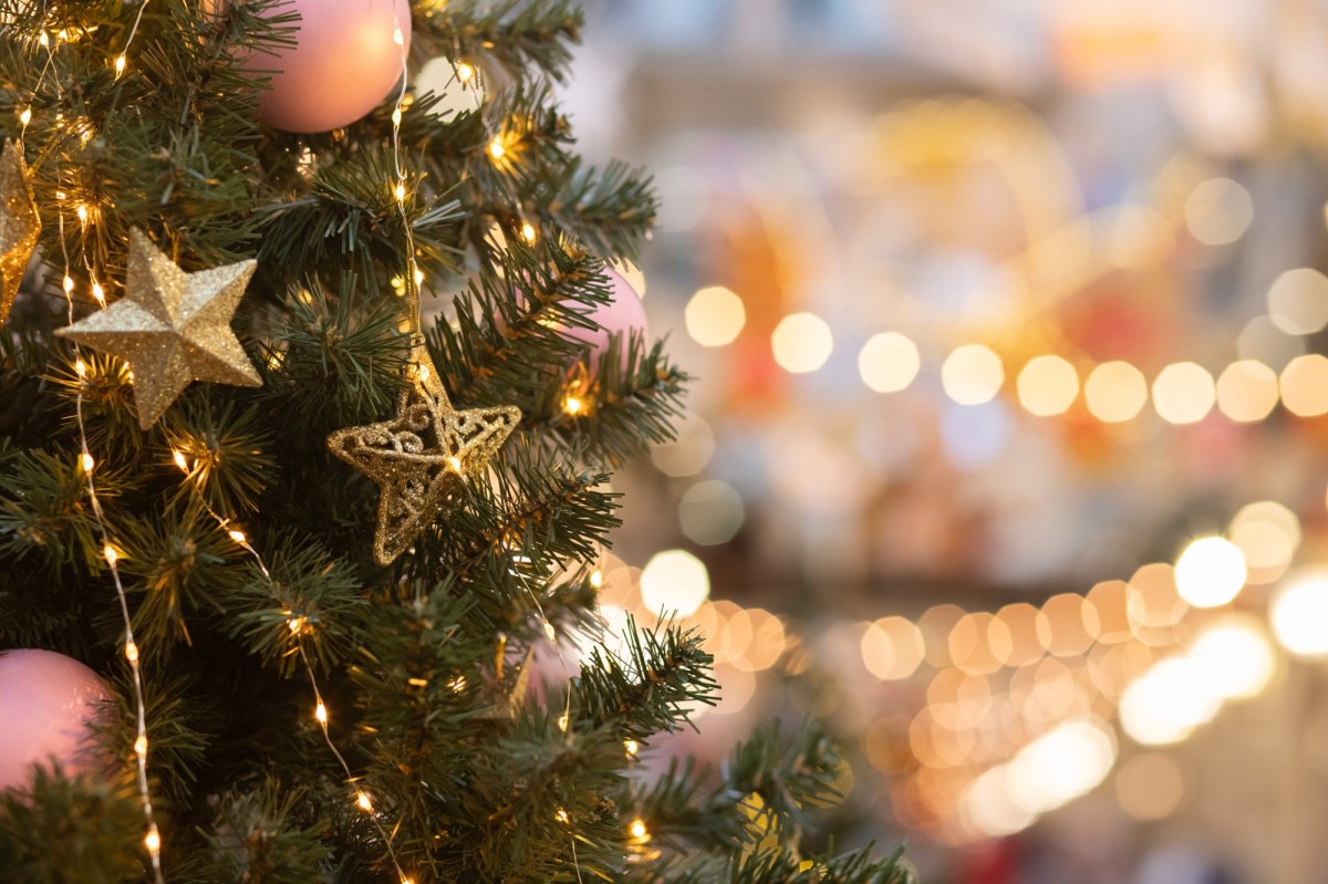 Co zrobić z choinką po świętach? Brytyjczycy wpadli na pewien pomysł