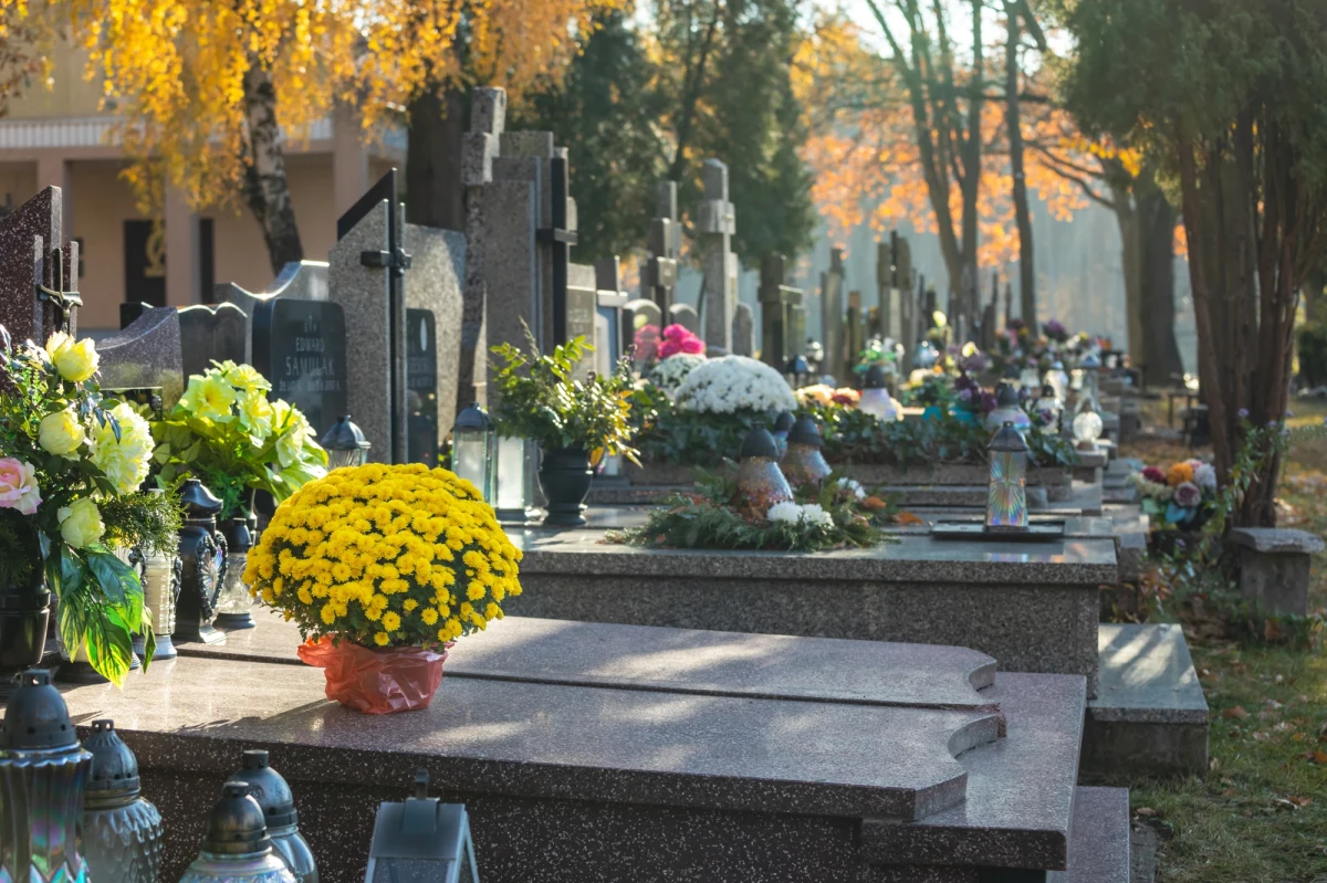 Do nieznanych dotąd szczegółów dot. pogrzebu Jacka J. – zabójcy swoich krewnych z Borowców koło Częstochowy (woj. śląskie) dotarł "Fakt". Okazuje się, że jego siostra ujawniła w trakcie przesłuchania, iż miejsca pochówku mężczyzny nie zna jego ciotka – Teresa D. Kobieta ukrywała J., o co jest oskarżona w procesie toczącym się w myszkowskim sądzie rejonowym.