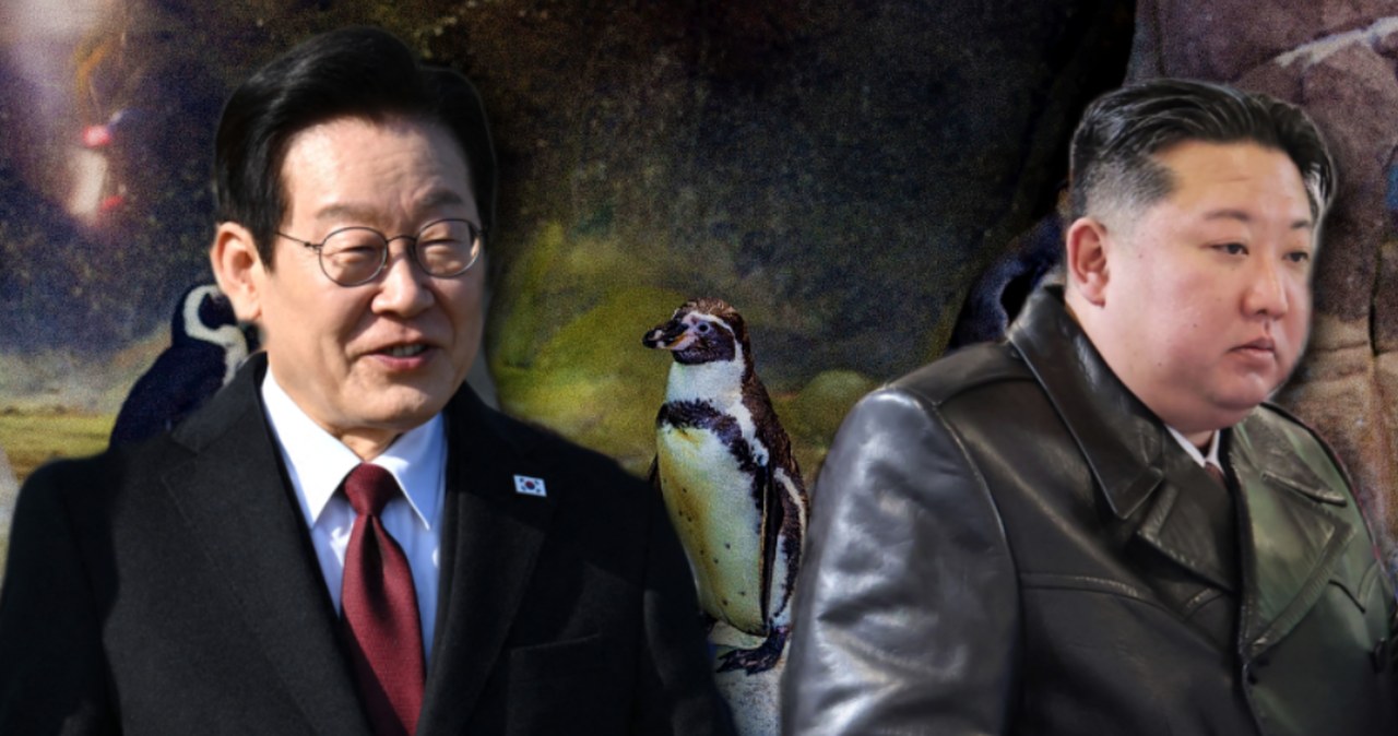 Dyplomacja w świecie bajek. Kim Dzong Un porównany do pingwina