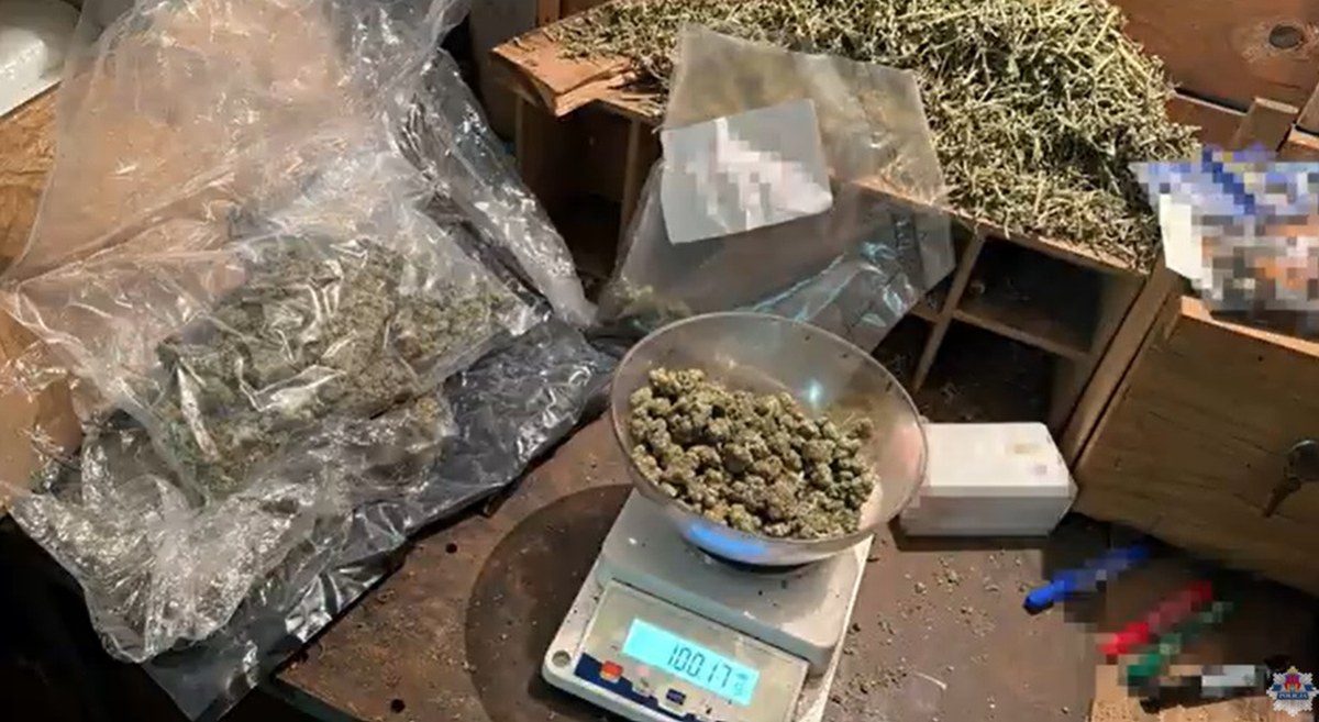 Uderzenie w biznes narkotykowy w Krakowie. Policja przejęła prawie 100 kg marihuany