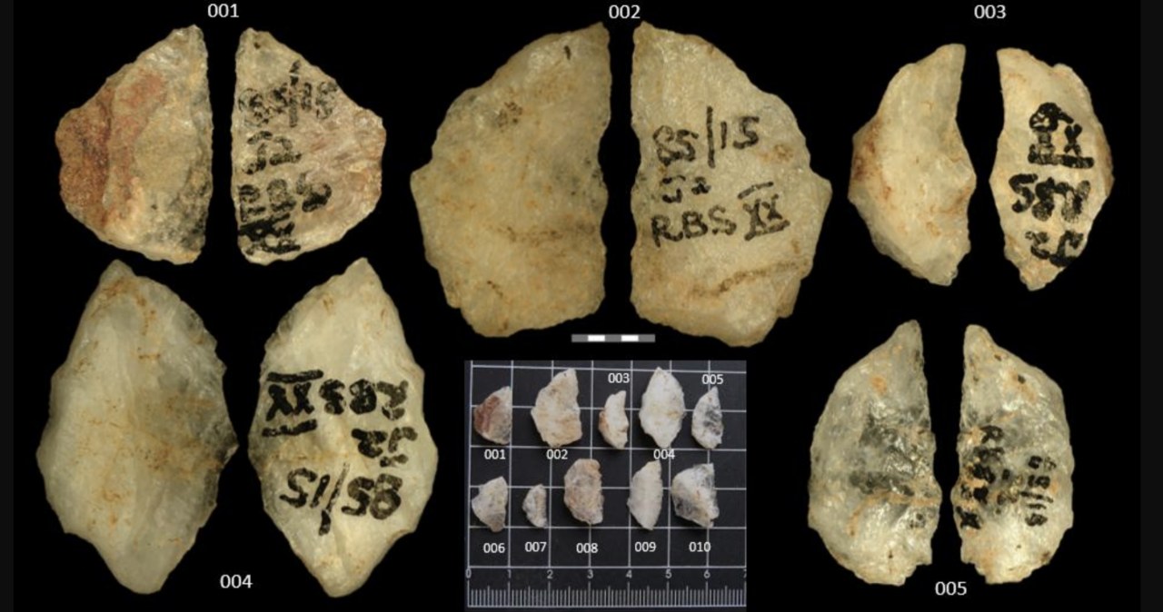 Najstarsze zatrute strzały w historii. To zmienia początki Homo sapiens