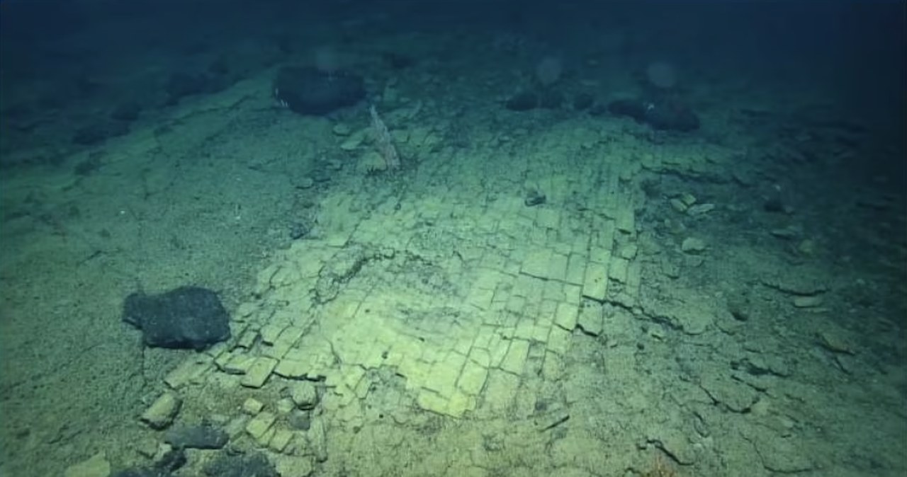 Kamienna droga na dnie oceanu. Naukowcy trafili na niezwykłą strukturę