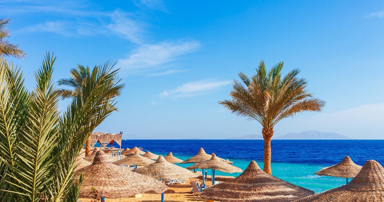 Nowe przepisy w Egipcie. Zmiany na lotniskach jeszcze w styczniu