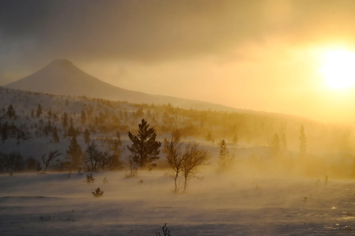 Sztorm Johannes, który uderzył w Szwecję, pochłonął życie trzech osób - informowała szwedzka policja. To jednak niejedyny tragiczny bilans po przejściu żywiołu. Johannes spowodował też największe od dekady zniszczenia lasów – powiadomił szwedzki państwowy zarządca Skogsstyrelsen, powołując się na wstępne szacunki. Szwedzkie media publikują zdjęcia całych połaci powalonych drzew.