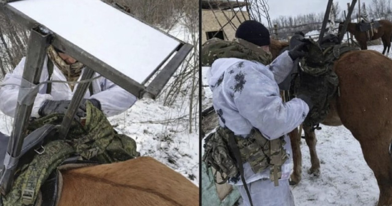 Starlink na koń! Rosjanie przyczepiają anteny do… siodeł