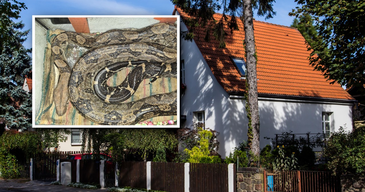 Został deportowany z Polski. W domu zostawił coś zaskakującego