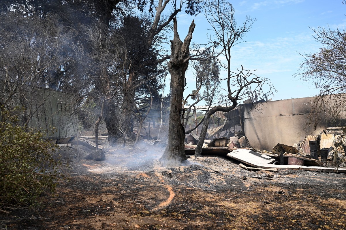 Zmagają się z żywiołem. "Pożary szaleją w wielu stanach"