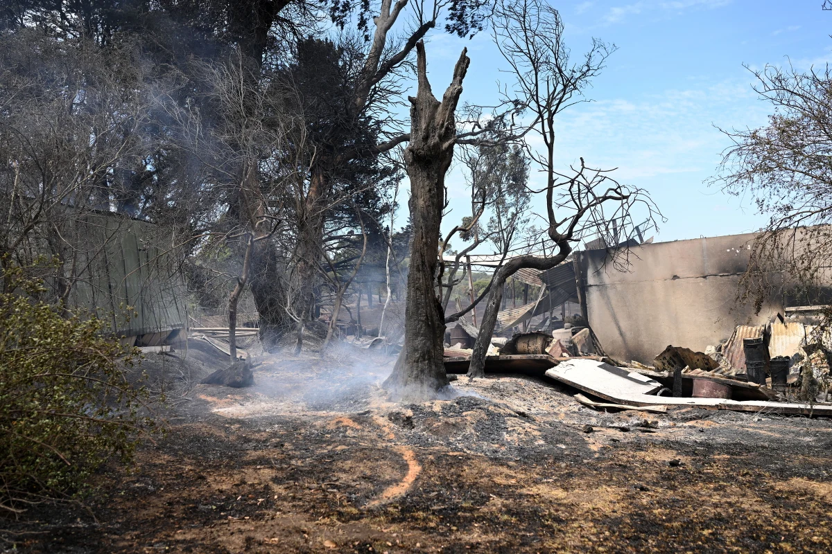 ​Żywioł trawi stan Wiktoria w Australii. To tam wybuchły pożary spowodowane upałami i silnym wiatrem, które doprowadziły do zniszczeń domów. Spłonęły rozległe połacie buszu. "Australijczycy w całym kraju zmagają się z ekstremalnymi i niebezpiecznymi warunkami pogodowymi, a pożary buszu szaleją w wielu stanach" - oświadczył premier Australii Anthony Albanese. 