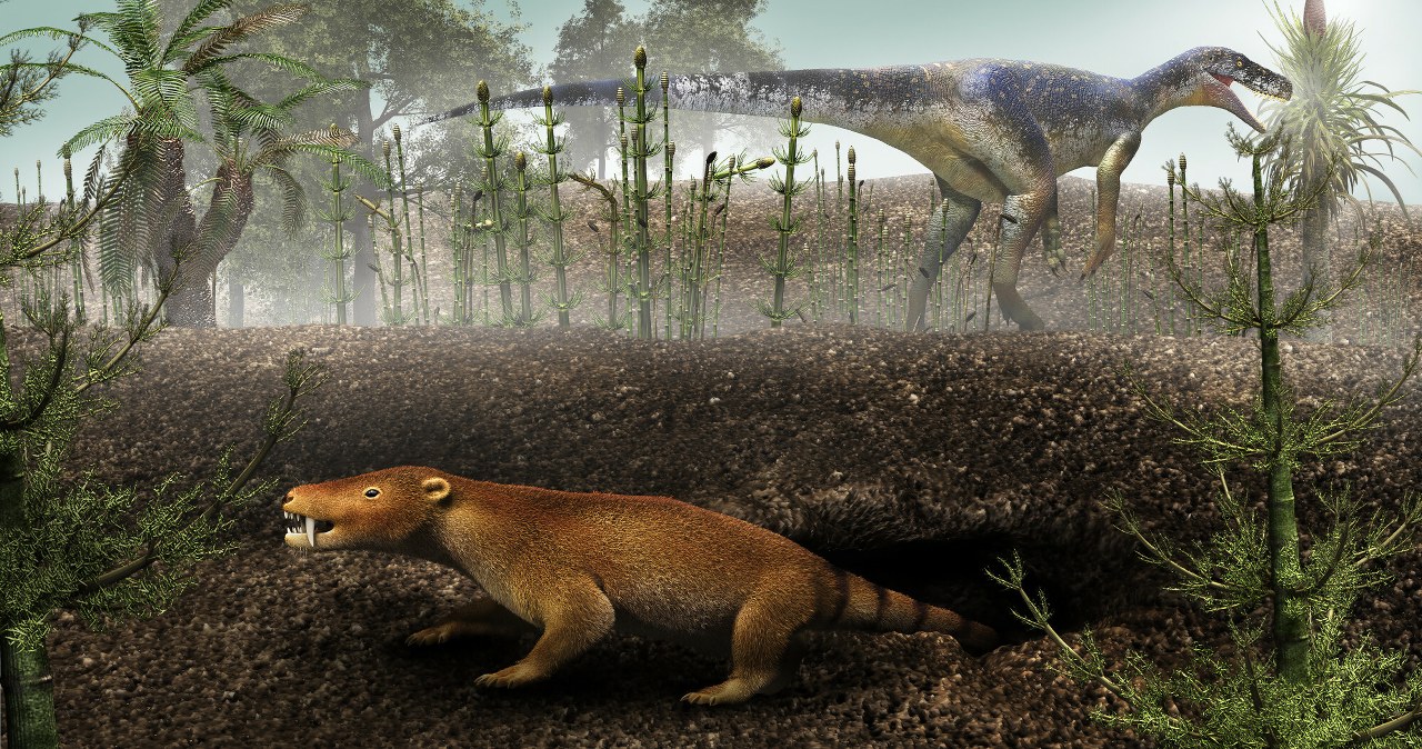 Jak działa Czerwona Lista IUCN? Status zagrożonych gatunków roślin i zwierząt