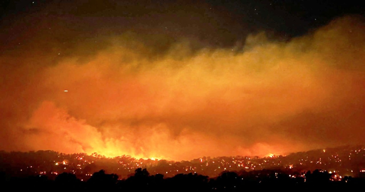 Pożary buszu w Australii. Ogłoszono strefy klęski żywiołowej