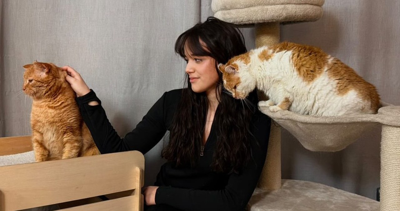 Wystarczyło jedno nagranie, by poruszyć serca. Dziś jej koty mają fanów
