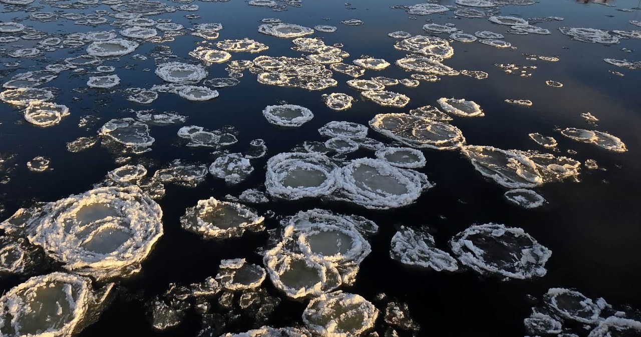 Niezwykłe zjawiska na rzekach w całym kraju. Wszyscy wyciągają aparaty