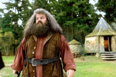 Harry Potter i kamień filozoficzny