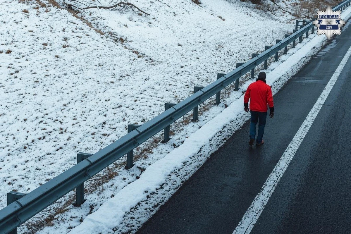 Policjanci interweniowali na autostradzie A1 po zgłoszeniu o pieszym poruszającym się w trudnych, zimowych warunkach. Okazało się, że zatrzymany 40-latek jest poszukiwany za kradzież biżuterii.