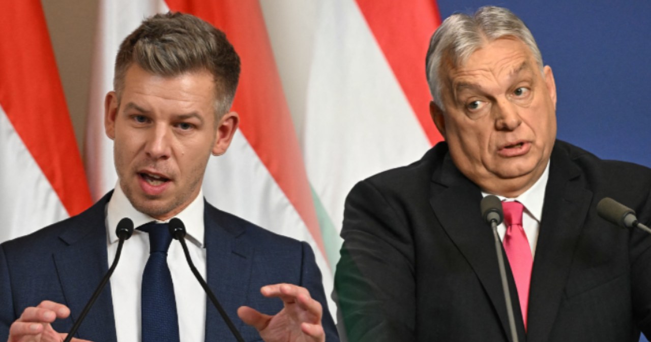 Węgrzy będą głosować. Prezydent wskazał datę wyborów parlamentarnych