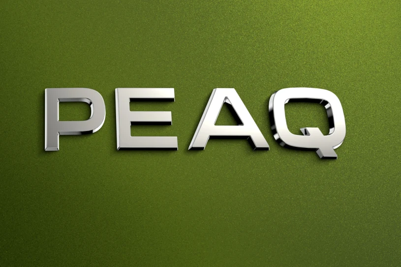 Skoda Peaq oficjalnie. Tak będzie się nazywał 7-osobowy król czeskiej marki