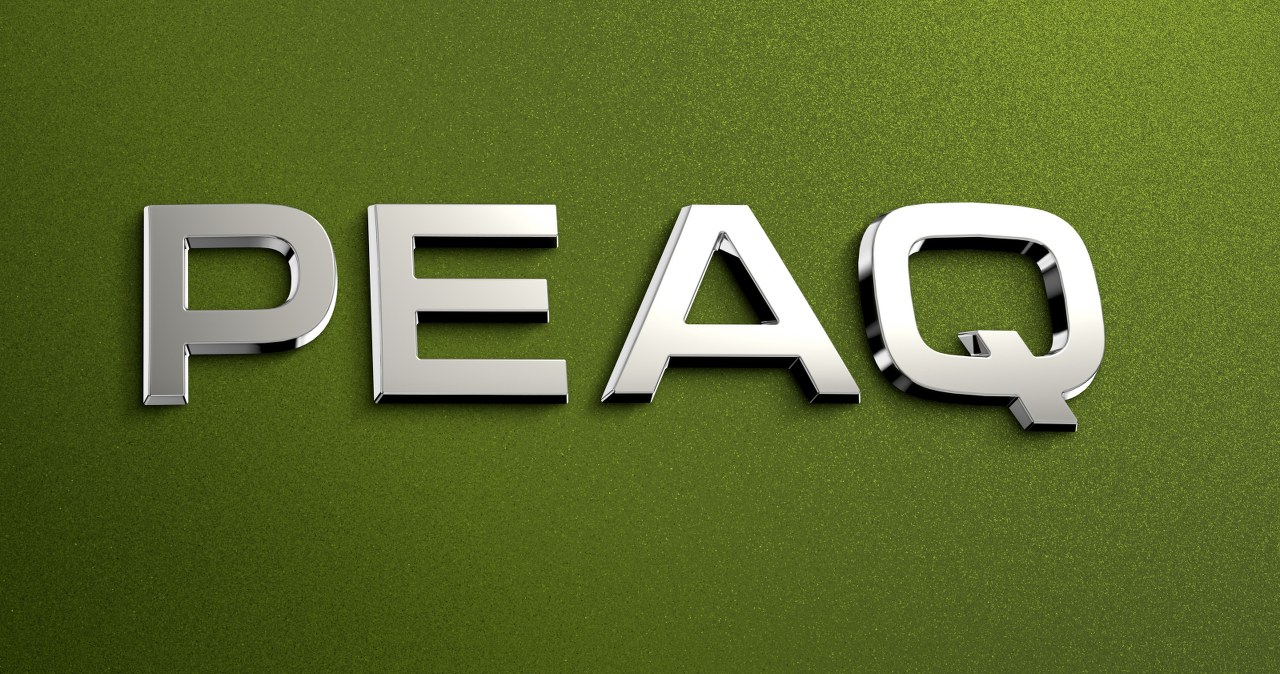 Skoda Peaq oficjalnie. Tak będzie się nazywał 7-osobowy król czeskiej marki