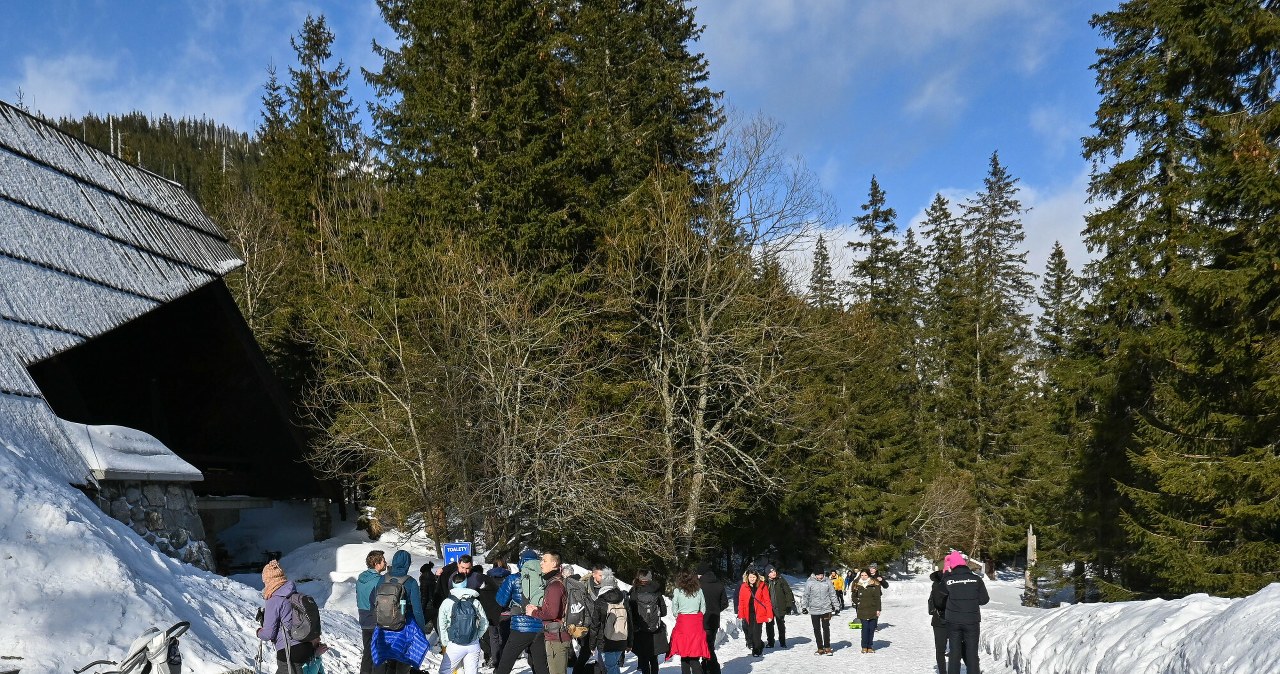 "Eko" busy do Morskiego Oka miały jeździć zimą. Pojawiły się problemy
