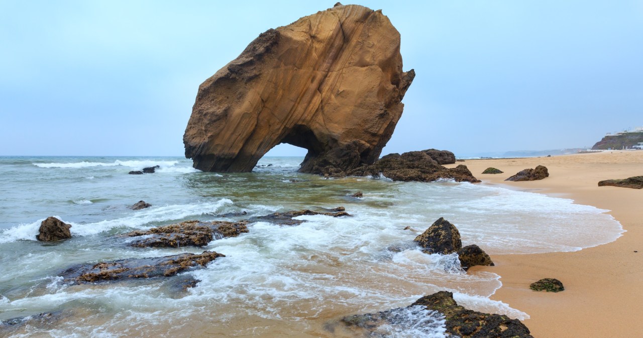 Na klifie ukrywał się tajemniczy skarb. To jaja sprzed 150 mln lat