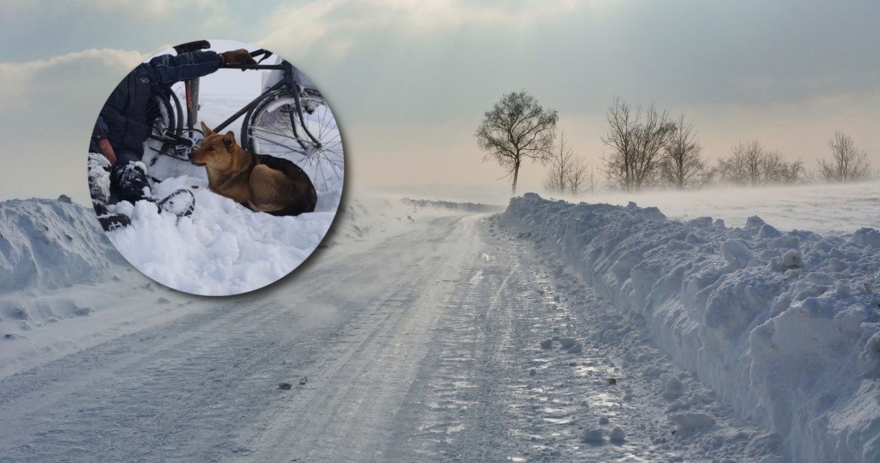 64-latek zasłabł na mrozie. Psy nie opuściły go nawet na chwilę