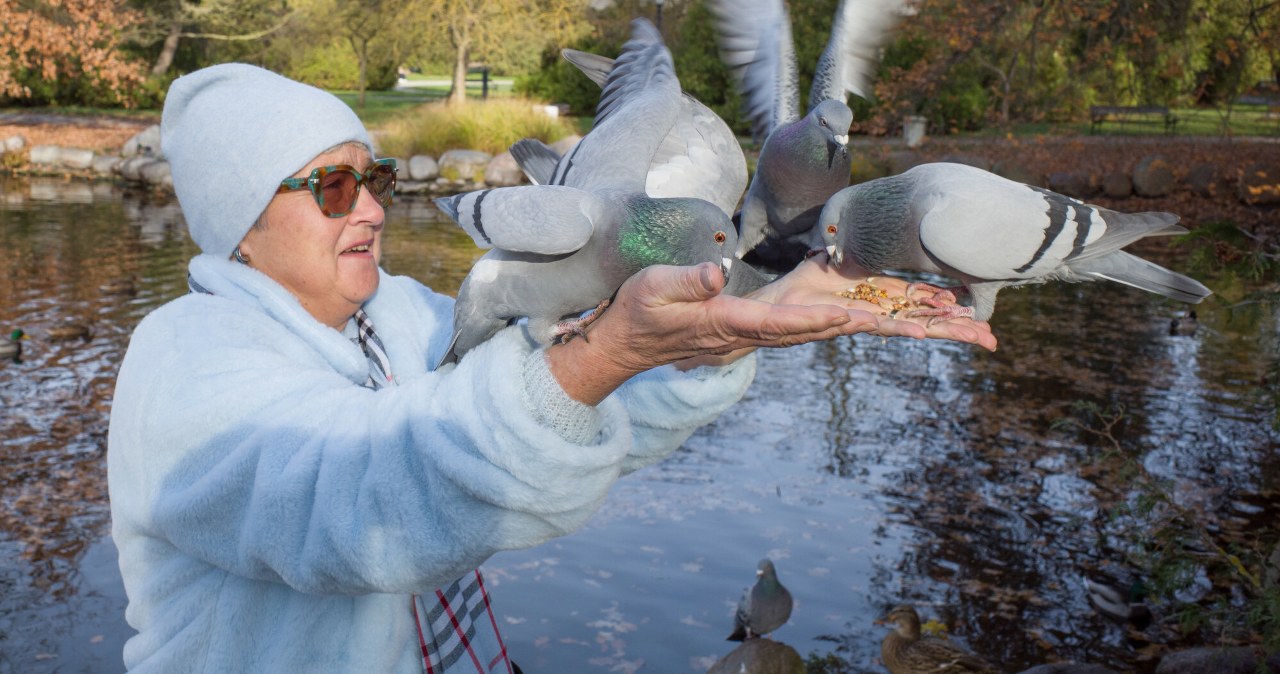 Dokarmiać ptaki czy nie? Badania pokazują coś niepokojącego
