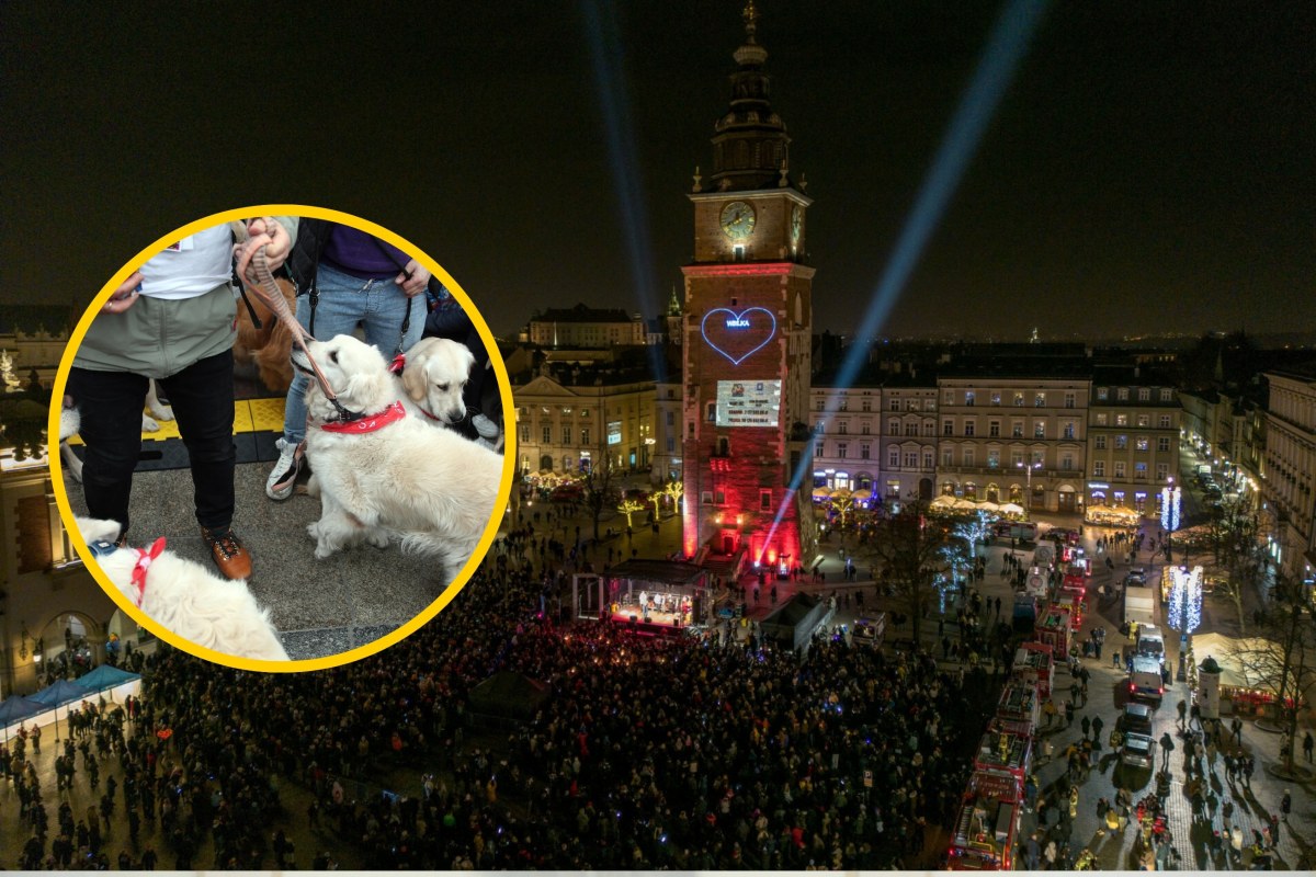 Nie tylko muzyka! Co przygotował Kraków na 34. finał WOŚP?