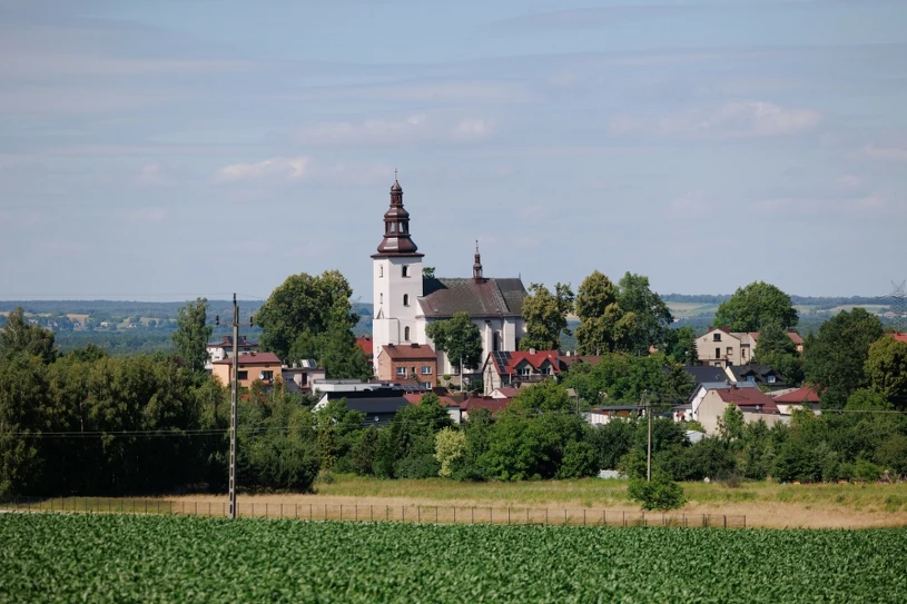 Metale ziem rzadkich także w Polsce. "Tego złoża nikt nie odpuści"