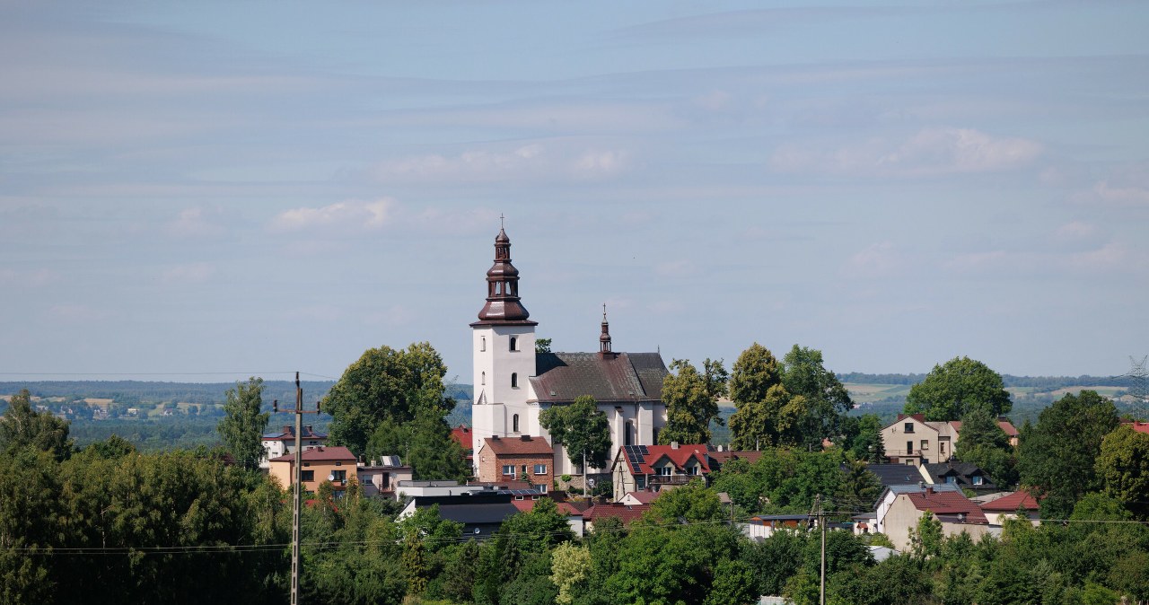 Metale ziem rzadkich także w Polsce. "Tego złoża nikt nie odpuści"