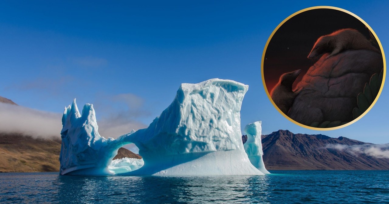 Na Grenlandii znaleziono początki ssaków. Wszystko może wziąć w łeb