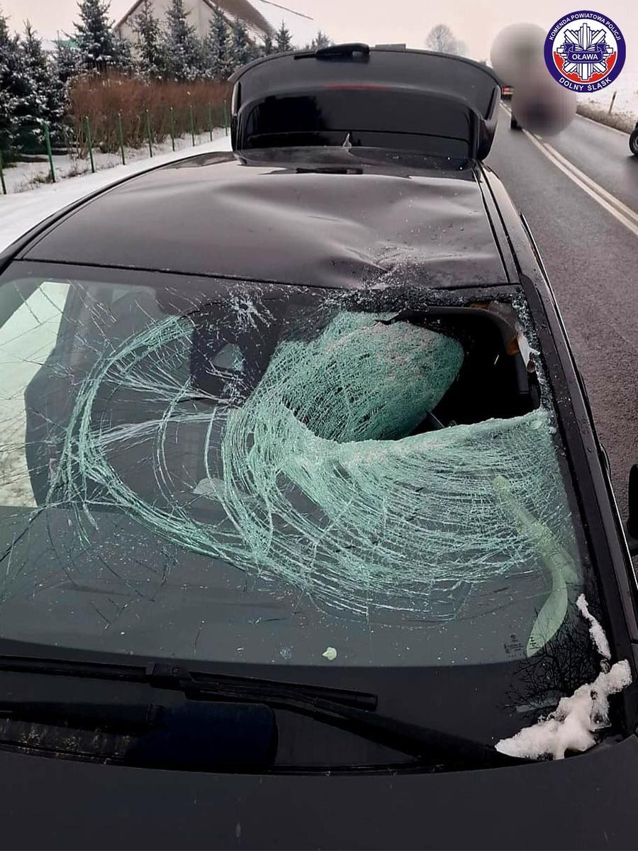 /Policja Oława /Policja